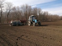 На Ставрополье завершен сев гороха