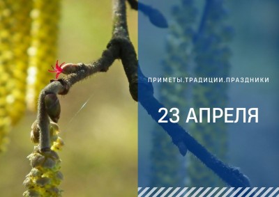 Приметы на 23 апреля: что можно и запрещено делать в день Терентия Маревного