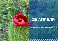 Приметы на 25 апреля: что можно и нельзя делать в день Василия Парильщика