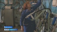 Трудовые заслуги ставропольской доярки оценили высшей наградой страны