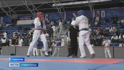 Лучшие рукопашники СКФО и ЮФО сразились в Ставрополе