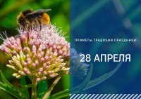 Приметы на 28 апреля: что можно и нельзя делать в Пудов день