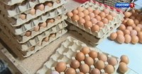 На Ставрополье в марте резко подорожали куриные яйца
