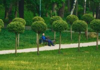 Парк Кисловодска стал обладателем премии «Парки России»