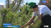 Акция «Сад Памяти» стартовала на Ставрополье