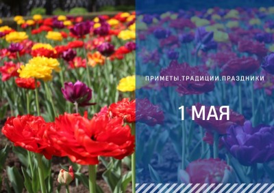 Приметы на 1 мая: события дня, изменившие мир