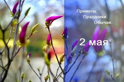 Приметы на 2 мая: что можно и нельзя делать в день Ивана Ветхопещерника