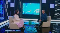 Как правильно выбрать саженцы плодовых деревьев: советы специалиста