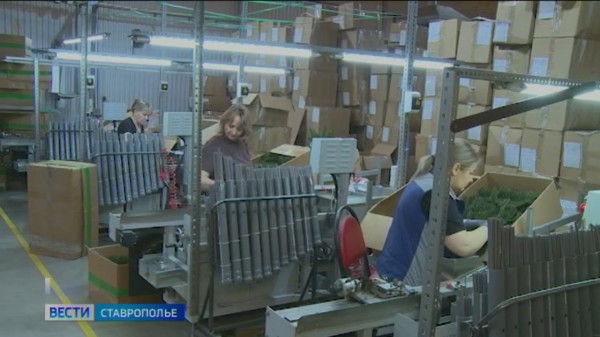 Союз бизнеса и государства поддерживает ставропольских предпринимателей