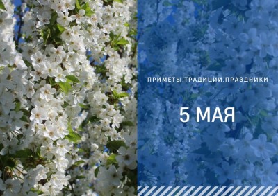 Приметы на 5 мая: что можно и нельзя делать на День Луки