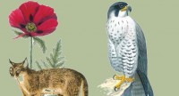 Прокуратура добилась переиздания Красной книги Ставропольского края
