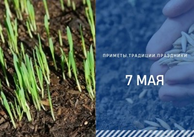 Приметы на 7 мая: что можно и нельзя делать на Евсеев день