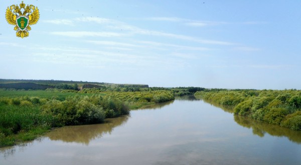 Прокуратура потребовала очистить Отказненское водохранилище