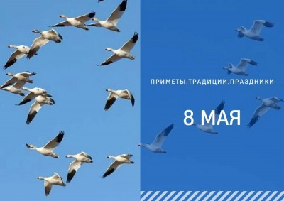 Приметы на 8 мая: что нельзя делать в день Марка Ключника