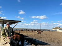 На Ставрополье ветеран СВО развивает с господдержкой животноводческую ферму