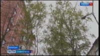 Прокуратура Ставрополья помогла вдове участника СВО