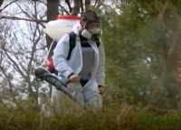 На Ставрополье растет число укушенных клещами На Ставрополье растет число укушенных клещами