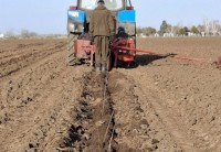 На Ставрополье заложили 34 га новых лесов На Ставрополье заложили 34 га новых лесов