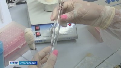 На Ставрополье выявлены случаи заражения крымской геморрагической лихорадкой