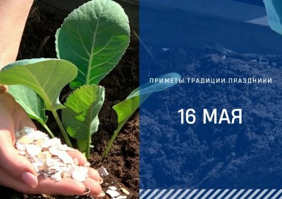 Приметы на 16 мая: что можно и нельзя делать в день Мавры рассадницы