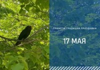 Приметы на 17 мая: что можно и нельзя делать в день Пелагеи Заступницы
