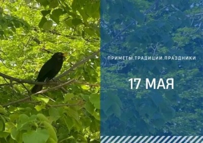 Приметы на 17 мая: что можно и нельзя делать в день Пелагеи Заступницы