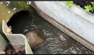 Ставрополье остаётся во власти дождей, начались подтопления дворов