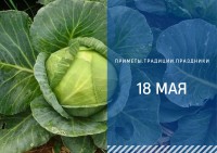 Приметы на 18 мая: что можно делать а что под запретом в день Арины Капустницы