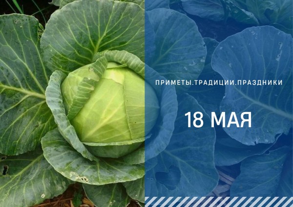 Приметы на 18 мая: что можно делать а что под запретом в день Арины Капустницы
