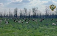 Прокуратура потребовала возместить причиненный экологии ущерб на почти 5 млн рублей Прокуратура потребовала возместить причиненный экологии ущерб на почти 5 млн рублей
