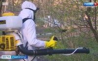 В Ставрополе борются с клещами-кровопийцами В Ставрополе борются с клещами-кровопийцами