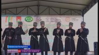 Фестиваль «Сила в единстве» прошел в Чеченской Республике Фестиваль «Сила в единстве» прошел в Чеченской Республике