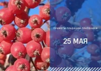 Приметы на 25 мая: что можно и нельзя делать на Рябиновку Приметы на 25 мая: что можно и нельзя делать на Рябиновку