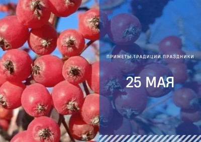 Приметы на 25 мая: что можно и нельзя делать на Рябиновку