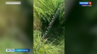 В Невинномысске обрушился канализационный коллектор