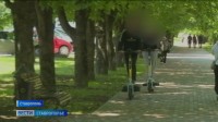 Наступил сезон самокатов, нарушений и аварий Наступил сезон самокатов, нарушений и аварий