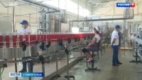 На Ставрополье утвердили инвестпроекты на 10 млрд рублей
