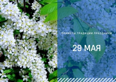 Приметы на 29 мая: что можно и нельзя делать в день Фёдора Житника