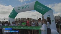 «Зеленый марафон» прошел в Ставрополе: как это было «Зеленый марафон» прошел в Ставрополе: как это было