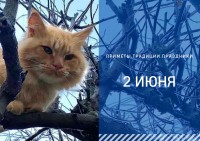 Приметы на 2 июня: что можно и нельзя делать на Тимофея Грядочника