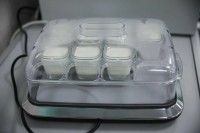 Всемирный день молока: факты о полезных свойствах продукте от эксперта СКФУ Всемирный день молока: факты о полезных свойствах продукте от эксперта СКФУ