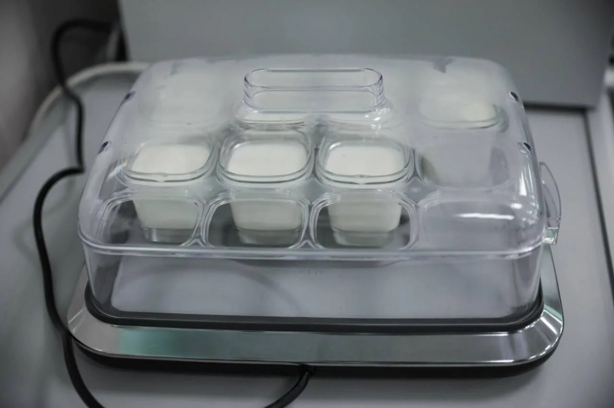 Всемирный день молока: факты о полезных свойствах продукте от эксперта СКФУ Всемирный день молока: факты о полезных свойствах продукте от эксперта СКФУ