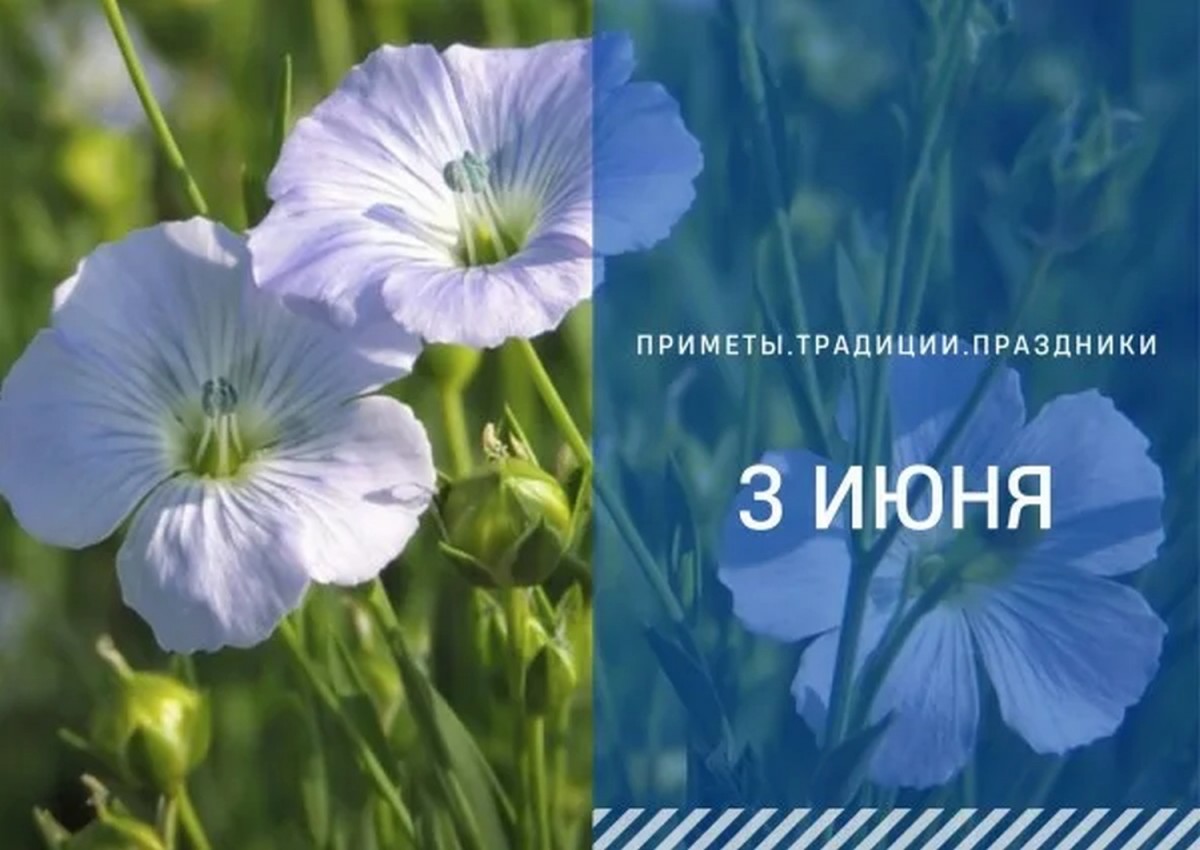 Приметы на 3 июня: что можно и нельзя делать в Оленин день Приметы на 3 июня: что можно и нельзя делать в Оленин день