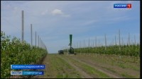 Аграрии Ставрополья вооружаются портативными градобойными пушками