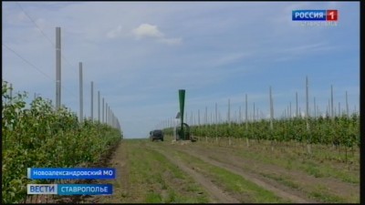 Аграрии Ставрополья вооружаются портативными градобойными пушками