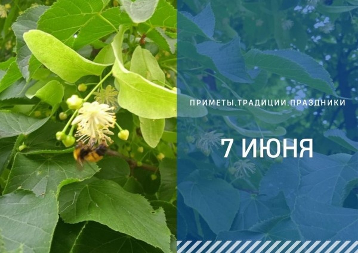 Приметы на 7 июня: что можно и нельзя делать в Иванов день Приметы на 7 июня: что можно и нельзя делать в Иванов день