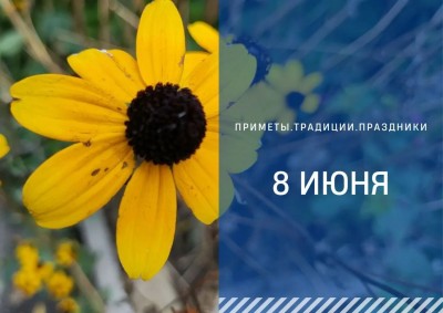 Приметы на 8 июня: что можно и нельзя делать в Карпов день
