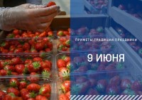 Приметы на 9 июня: что можно и нельзя делать в Федорин день