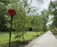 В селе Донское на Ставрополье завершены работы по созданию «Аллеи Памяти»
