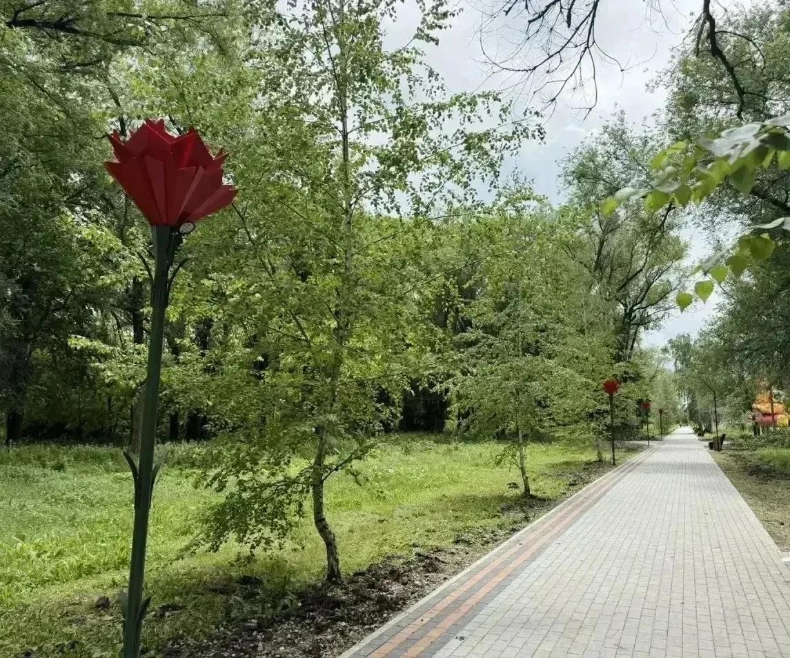 В селе Донское на Ставрополье завершены работы по созданию «Аллеи Памяти» В селе Донское на Ставрополье завершены работы по созданию «Аллеи Памяти»